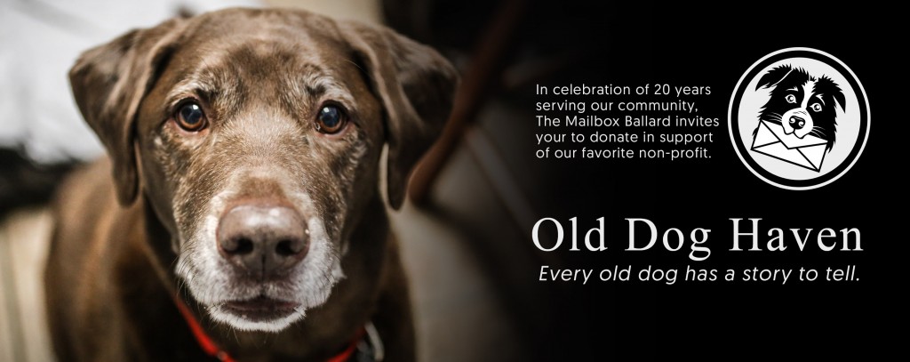 Support Old Dog Haven